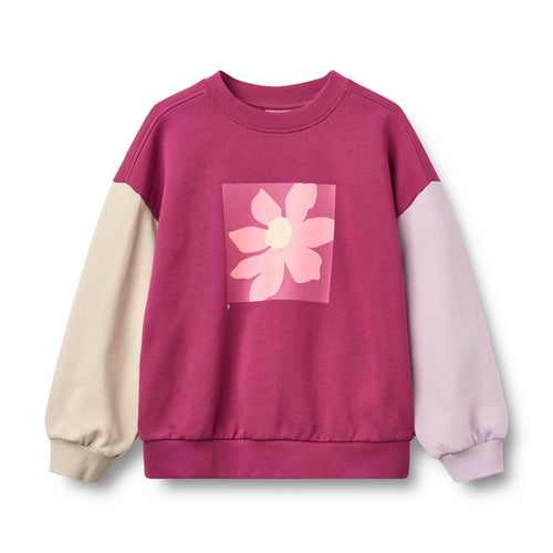 Sweatshirt print Elliot — magenta