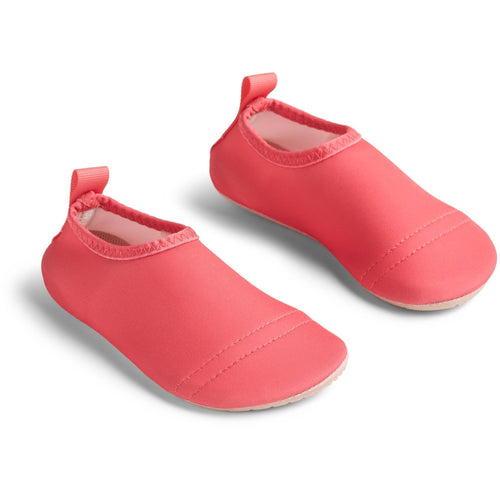 Swimshoe Dolphin — water melon