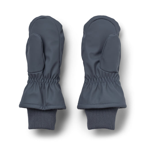 Winter Mittens Stormy